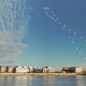 Illustration for article titled Can a "Cityhenge" Happen in Your City at Sunset?